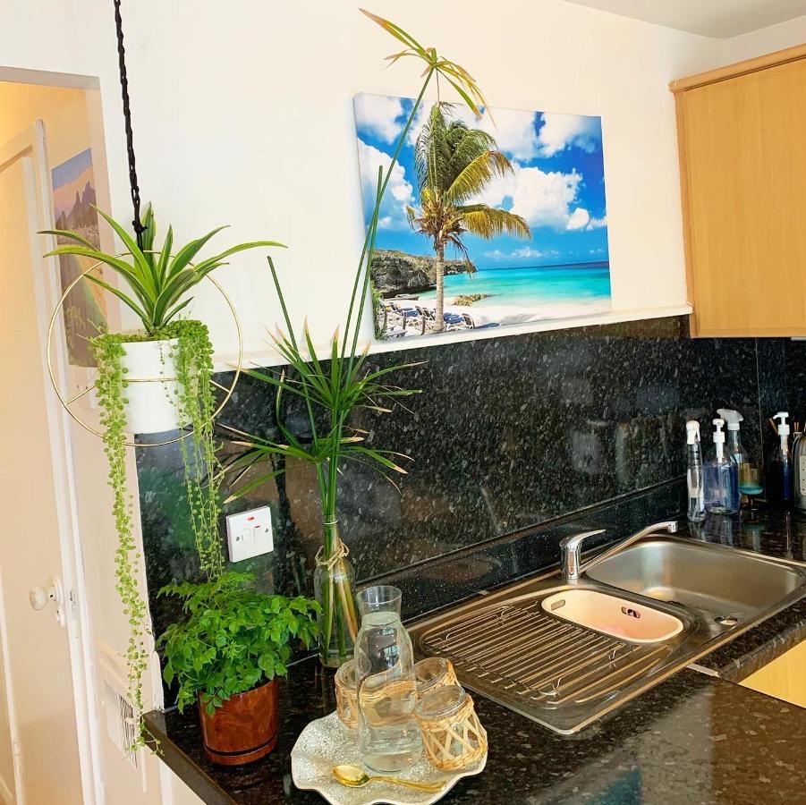 런던 Garden Beautiful Cozy Flat , Recent Decorated. 아파트 외부 사진