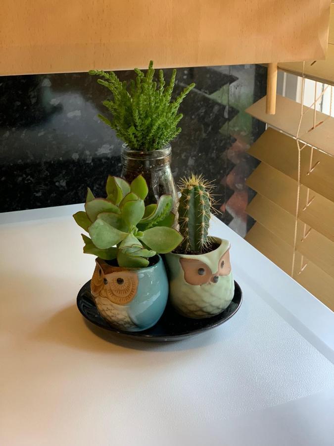 런던 Garden Beautiful Cozy Flat , Recent Decorated. 아파트 외부 사진