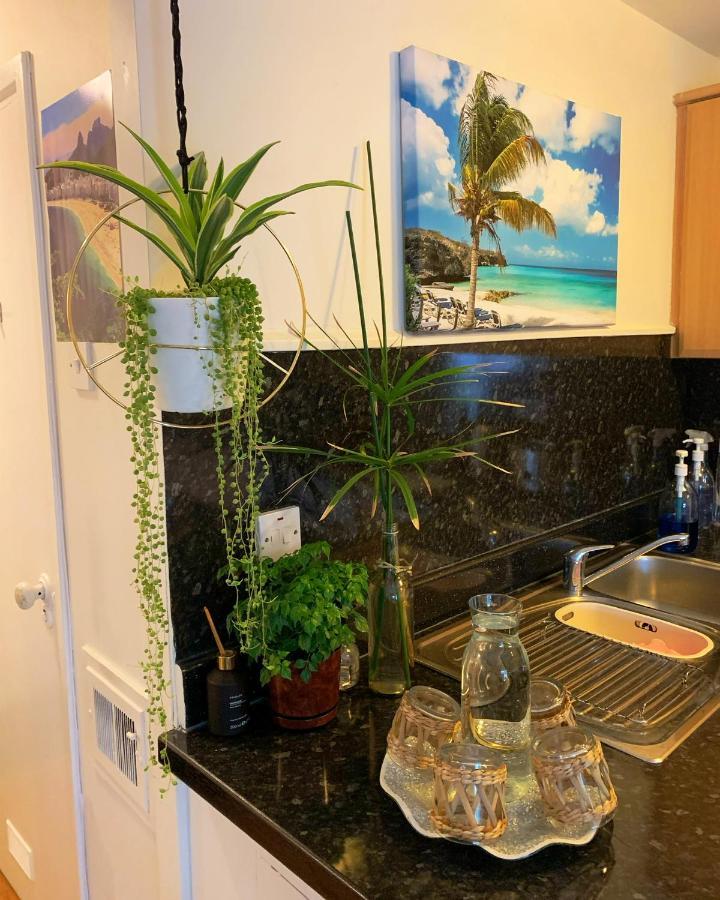 런던 Garden Beautiful Cozy Flat , Recent Decorated. 아파트 외부 사진